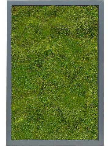 Картина из мха mdf ral 7016 satin gloss 100% flat moss Картина из мха mdf ral 7016 satin gloss 100% flat moss