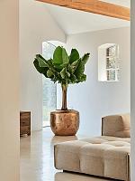 Кашпо Baq opus raw couple gold D65 H53 см