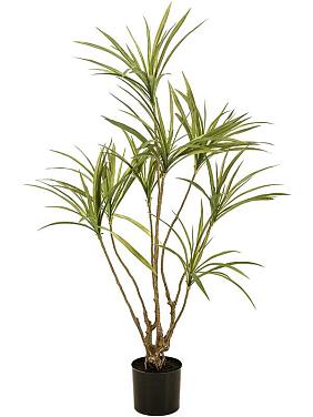 Драцена искусственная Драцена искусственная