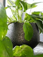 Кашпо Noor pot velvet green D23 H20 см Кашпо Noor pot velvet green D23 H20 см