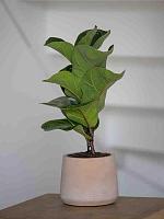 Кашпо Rough patt m clay washed D17 H14 см