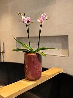 Ваза Mabel pot tall cherry D18 H27 см Ваза Mabel pot tall cherry D18 H27 см