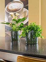 Кашпо Stella pot sage D13 H14 см