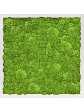 Картина из мха mdf ral 9010 satin gloss 100% ball moss Картина из мха mdf ral 9010 satin gloss 100% ball moss