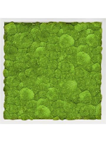 Картина из мха mdf ral 9010 satin gloss 100% ball moss Картина из мха mdf ral 9010 satin gloss 100% ball moss