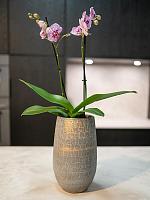 Ваза Renzo pot tall shiny grey D31 H68 см