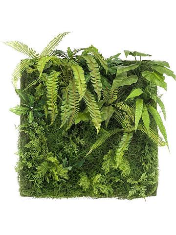 Фитостена из искусственных растений Фитостена из искусственных растений