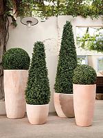 Кашпо Terra cotta partner extra D46 H90 см