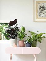 Кашпо Vibes fold round fern green D14 H12 см