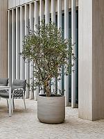 Кашпо Urban jumbo charlie m beige washed D84 H81 см