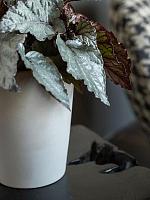 Кашпо Ceramic rosa m vanilla white D13 H16 см