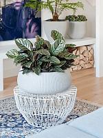 Кашпо Ridged vertically eileen xl cement D36 H14 см