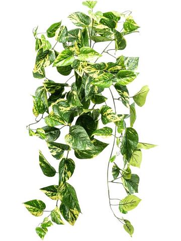 Сциндапсус (Эпипренум) ампельный искусственный Сциндапсус (Эпипренум) ампельный искусственный