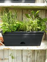 Кашпо Green basics trough mini living black L12 W30 H11 см