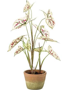 Каладиум кремово-красный в горшке искусственный Каладиум кремово-красный в горшке искусственный