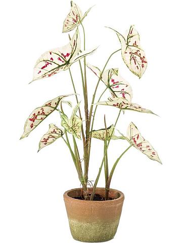 Каладиум кремово-красный в горшке искусственный Каладиум кремово-красный в горшке искусственный