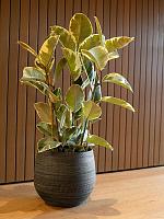 Кашпо Joyce pot anthracite D36 H32 см