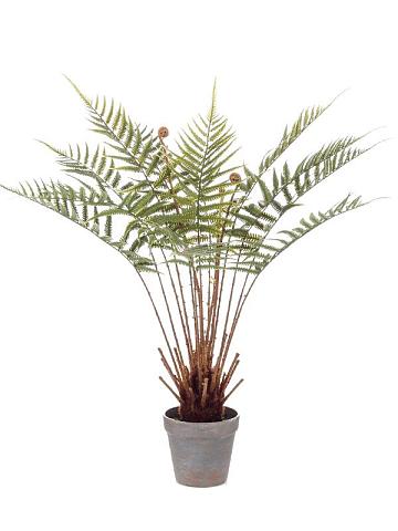 Папоротник Диксония в горшке искусственный Папоротник Диксония в горшке искусственный