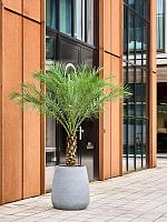 Кашпо Dolomites planter dark grey D53 H58 см