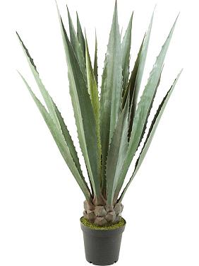 Агава искусственная Агава искусственная