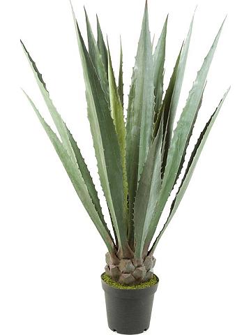 Агава искусственная Агава искусственная