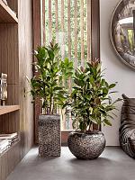 Кашпо Baq luxe lite universe layer globe bronze D45 H32 см