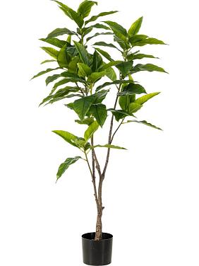 Фикус Лонгифолия искусственный