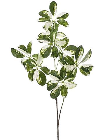 Ветка Шеффлеры бело-зеленая искусственная Ветка Шеффлеры бело-зеленая искусственная