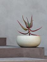 Кашпо Grigio low balloon antique white D40 H18 см