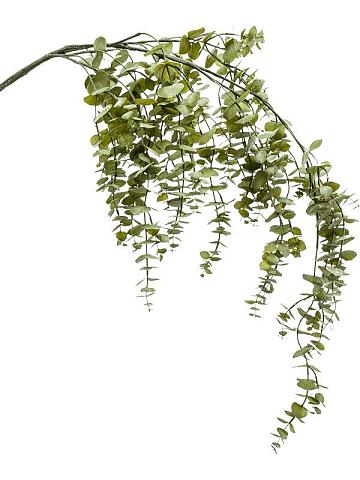 Эвкалипт ампельный искусственный