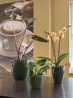 Кашпо Sven pot sage D18 H16 см