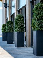 Кашпо Fiberstone bouvy l black L40 W40 H80 см