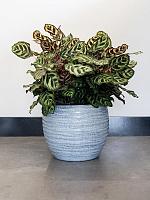 Кашпо Manuel pot shiny grey D16 H13 см