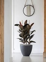 Кашпо Granite jesslyn s midnight black D50 H44 см