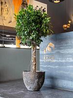 Кашпо Oyster jesslyn xl imperial brown D80 H70 см Кашпо Oyster jesslyn xl imperial brown D80 H70 см