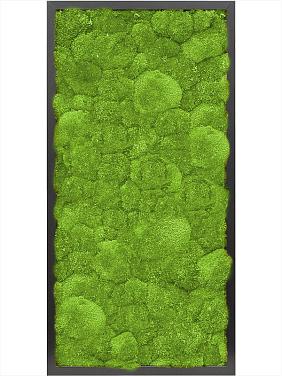 Картина из мха mdf ral 9005 satin gloss 100% ball moss Картина из мха mdf ral 9005 satin gloss 100% ball moss