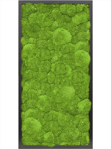 Картина из мха mdf ral 9005 satin gloss 100% ball moss