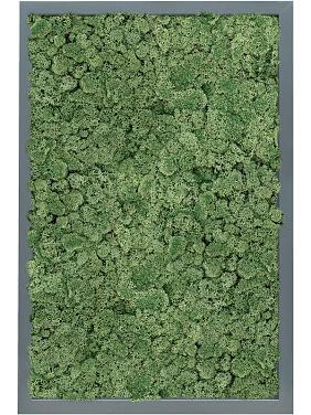 Картина из мха mdf ral 7016 satin gloss 100% reindeer moss (moss green) Картина из мха mdf ral 7016 satin gloss 100% reindeer moss (moss green)