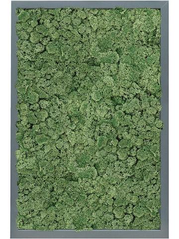 Картина из мха mdf ral 7016 satin gloss 100% reindeer moss (moss green) Картина из мха mdf ral 7016 satin gloss 100% reindeer moss (moss green)