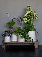 Кашпо Ceramic sofia xs funghi beige D9 H11 см Кашпо Ceramic sofia xs funghi beige D9 H11 см