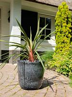 Кашпо Palermo pot marble grey D35 H32 см Кашпо Palermo pot marble grey D35 H32 см