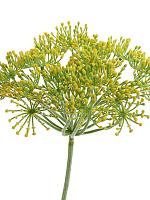 Укроп цветущий искусственный H105 см Укроп цветущий искусственный H105 см