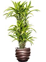 Кашпо Baq gradient lee couple matt coffee (с техническим горшком) D41 H37 см