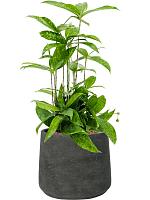 Кашпо Rough patt xl black washed D23 H20 см