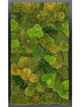 Картина из мха mdf ral 9005 satin gloss 20% flat and 80% exclusive moss (mix)