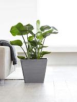Кашпо Ecopots rotterdam 40 grey L40 W40 H35 см