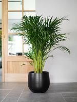 Кашпо Isabel pot black D22 H20 см