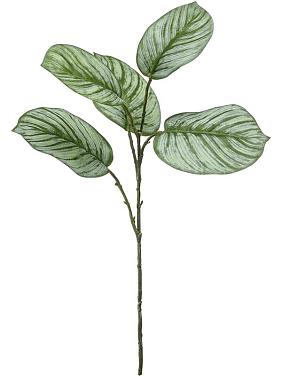 Ветка Калатеи искусственная Ветка Калатеи искусственная