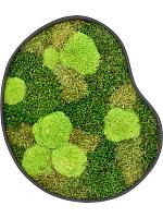 Картина из мха organic frame #1 earth mos (mix) L50 W43 H5 см