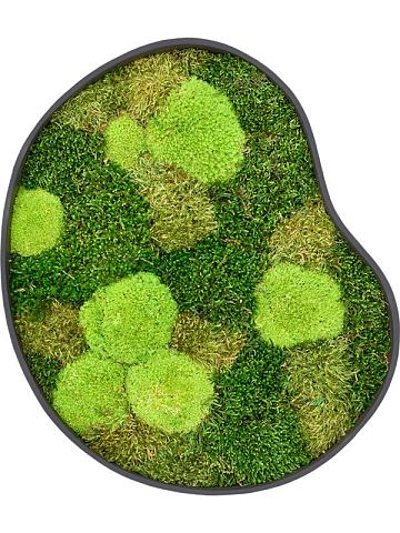 Картина из мха organic frame #1 earth mos (mix)